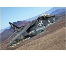 COR 29303AA